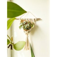 Mini Makramee Wandbehang | Boho Pflanzenhalterung Minimakramee Naturweiss Wohnzimmer Balkon Küche Wanddeko Mini Makramee Wandbehang | Boho Pflanzenhalterung Minimakramee Naturweiss Wohnzimmer Balkon Küche Wanddeko von SaWaMakramee