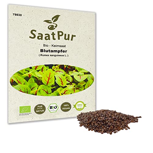 BIO Keimsprossen Blutampfer Bio Keimsaat von SaatPur - Sprossen, Microgreens - 2g von SaatPur