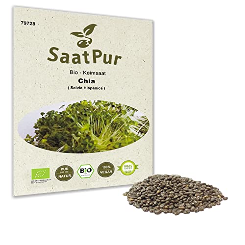 BIO Keimsprossen Chia Bio Keimsaat von SaatPur - Sprossen, Microgreens - 15g von SaatPur