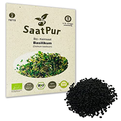 Basilikum BIO Keimsaat von SaatPur - Keimsprossen Sprossen Microgreen - 20g Basil für Getränke Lebensmittelqualität von SaatPur