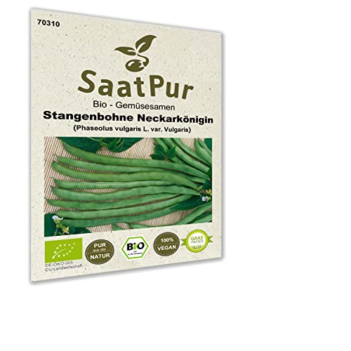 Bio Gemüse Samen Stangenbohne Neckarkönigin 50g grüne Gartenbohne von SaatPur