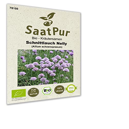 Bio Kräuter Samen Schnittlauch Nelly Saatgut Schnittlauchsamen Küchenkraut Gewürzkraut für ca.100Pfl. von SaatPur