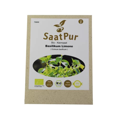 Bio Sprossen Samen Basilikum Limone - 100% Bio Keimsprossen - Microgreens mit hoher Keimkraft - Sprossensamen für Keimsieb - Lebensmittel Qualität von SaatPur