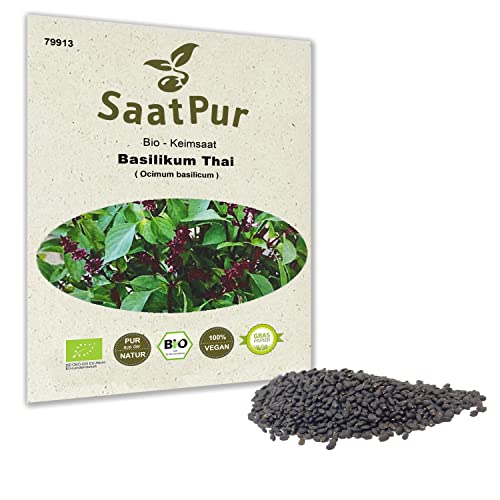 Bio Sprossen Samen Basilikum Thai - 100% Bio Keimsprossen - Microgreens mit hoher Keimkraft - Sprossensamen für Keimsieb - Lebensmittel Qualität von SaatPur