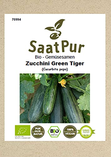 Gemüsesamen Bio Zucchini Green Tiger Freiland und Topf bitterfrei für ca. 12 Pfl. Samen Saatgut von SaatPur