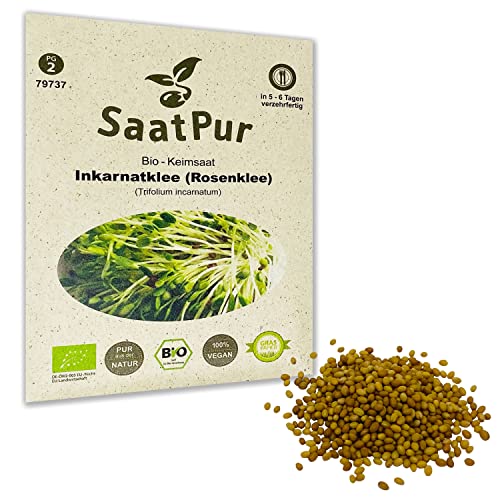 Inkarnatklee Rosenklee BIO Keimsprossen von SaatPur - Sprossen Keimsaat, Microgreen - 30g Klee von SaatPur