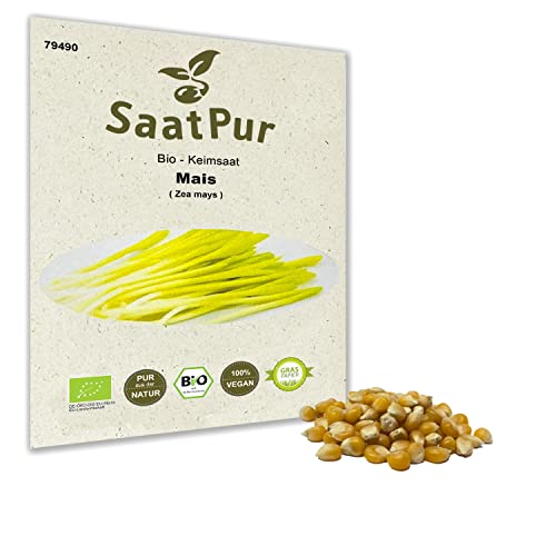 Mais Popcornmais BIO Keimsprossen Bio Keimsaat von SaatPur - Sprossen, Microgreens - 50g von SaatPur