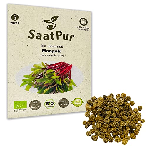 Mangold (Rot) BIO Keimsprossen von SaatPur - Sprossen, Microgreen - 30g von SaatPur