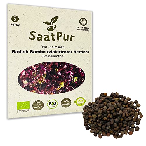 Rambo BIO Keimsprossen von SaatPur - Radies Sprossen, Microgreens - 30 g von SaatPur