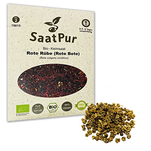 Rote Rübe BIO Keimsprossen von SaatPur - Sprossen, Microgreens - 30g Rote Bete von SaatPur