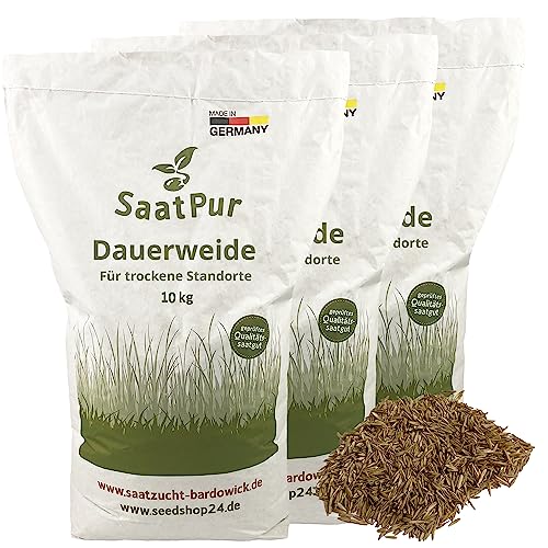 SaatPur® Dauerweide für trockene Standorte, 30 kg für 9.000 m², Hoher Futterwert für strukturreiches Futter, dichte Narbe, geeignet für stark beanspruchte Pferdeweiden, Neusaat und Nachsaat von SaatPur