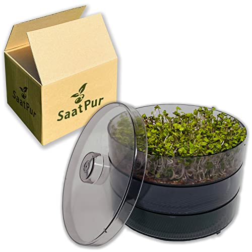 SaatPur® Keimsprossenbox Set 2 mit Zwei Etagen als Sprossen Keimgerät: Sprossen Anzucht sowie Microgreens Anzuchtschalen. Keimbox, Keimschale, Keimschachtel, Sprossenbox, Sprossenhaus, Keimgerät von SaatPur