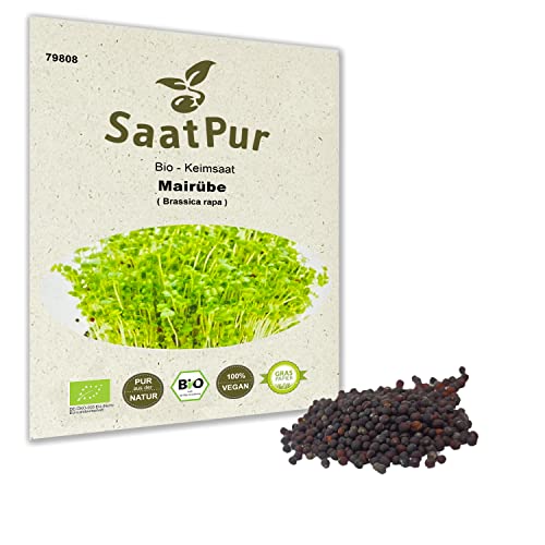 SaatPur® Saatgut Bio-Keimsprossen Mairübe 30g, hohe Keimkraft, Micro-Greens für vitaminreiche, vegan, Keimsaat Sprossen Samen mikrobiologisch untersucht, nachhaltige Graspapier-Verpackung von SaatPur