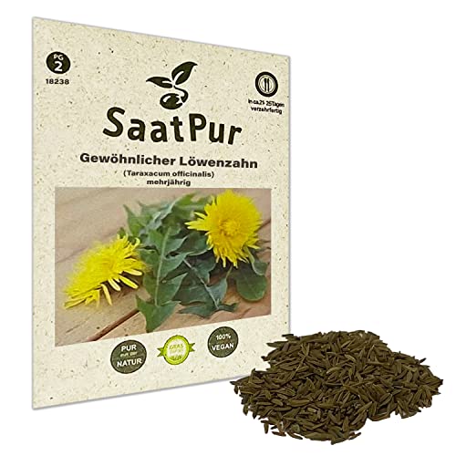 SaatPur® Saatgut Geewöhnlicher Löwenzahn Samen für ca. 500 Pflanzen, Löwenzahn alte Sorte, Wildkraut mehrjährig, Löwenzahnsamen, 100% naturrein, hohe Keimkraft, nachhaltige Graspapier-Verpackung von SaatPur