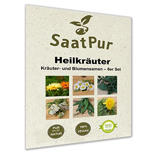 SaatPur® Saatgut Heilkräuter 6er Set für ca. 300 Pflanzen, Kräutersamen, Blumensamen, 6 Saattüten: Spitzwegerich, Löwenzahn, Brennnessel, Ringelblume, Gänseblümchen, Schafgarbe, Graspapier-Verpackung von SaatPur