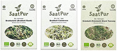 SaatPur BIO Keimsprossen Sortiment 3 BIO Sorten Sulforaphan Mix Mischung - Brokkoli Brokoletti Grünkohl von SaatPur