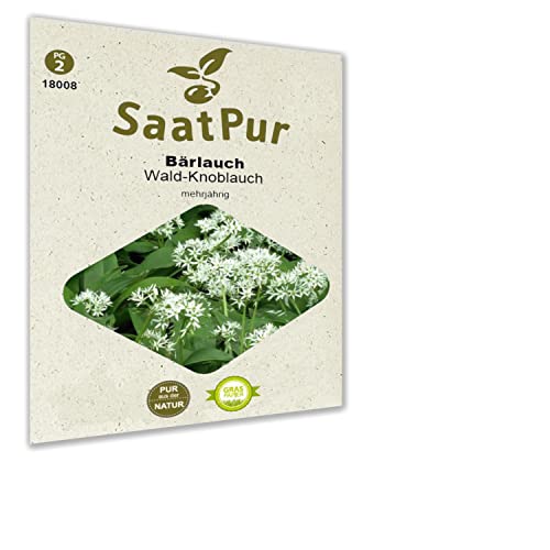 SaatPur Bärlauch Samen für ca. 50 Pflanzen von SaatPur