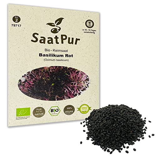 Basilikum Rot BIO Keimsaatz von SaatPur - Keimsprossen Sprossen Microgreen - 10g Basil Lebensmittel Qualität von SaatPur