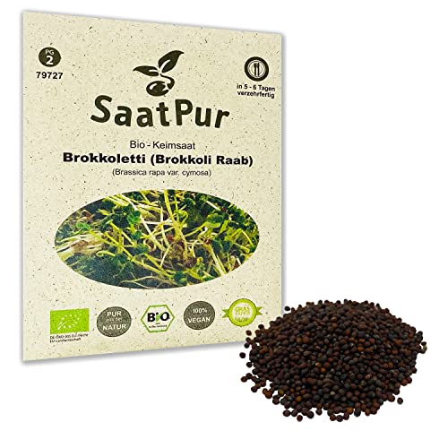 SaatPur Bio Keimsaat - Brokkoli Raab | Brokkoletti | Ur-Brokkoli| Keimsprossen Sprossen Microgreen - 30 g Lebensmittel Qualität von SaatPur