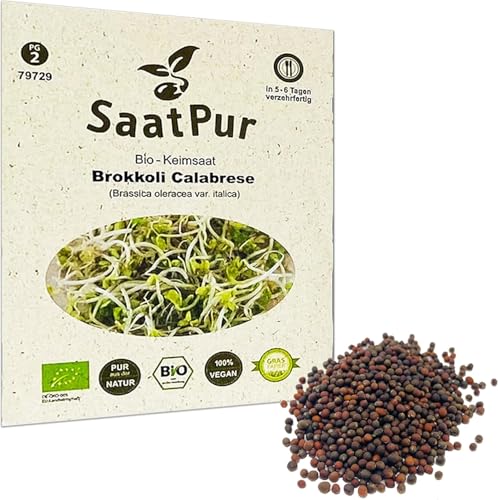 SaatPur Bio Keimsaat - Brokkoli Keimsprossen Sprossen Microgreen - 20 g Lebensmittel Qualität von SaatPur