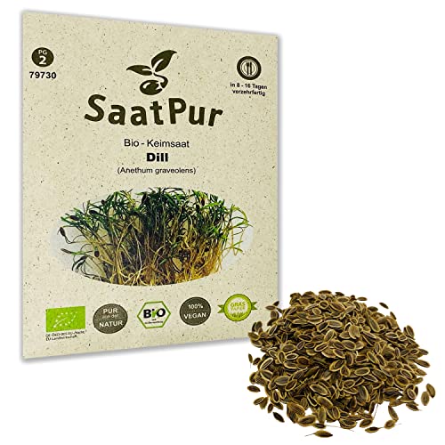 SaatPur Bio Keimsaat - Dill Keimsprossen Sprossen Microgreen - 25g Dillsamen Dille oder Gurkenkraut, auch Dillkraut und Dillfenchel genannt von SaatPur