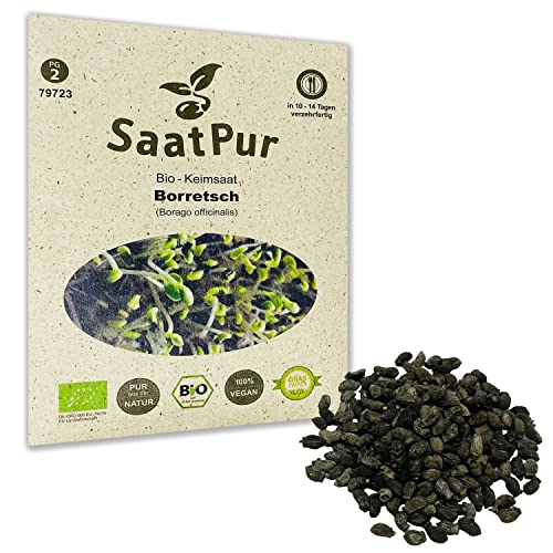 Borretsch BIO Keimsprossen von SaatPur - Keimsaat für die Sprossenzucht zuhause - 10g Gurkenkraut von SaatPur