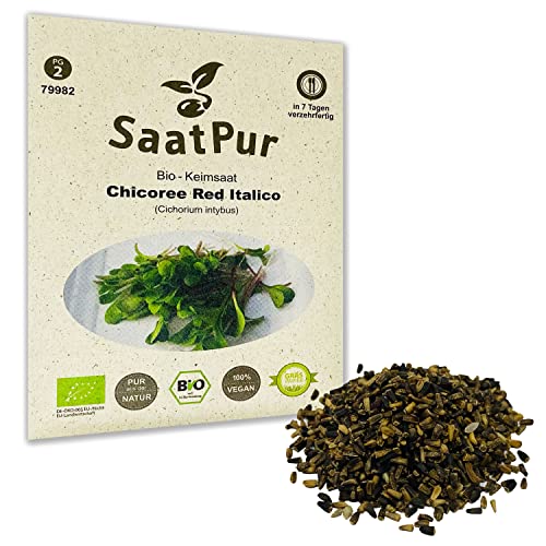 SaatPur Bio Keimsprossen - Chicory Red Italico - Keimsaat für die Sprossenzucht zuhause - 15g von SaatPur