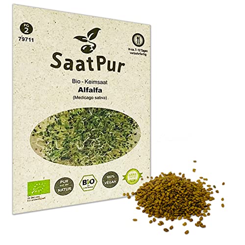 SaatPur Bio Keimsprossen - Keimsaat für Alfalfa Sprossen, Microgreen - 50g von SaatPur