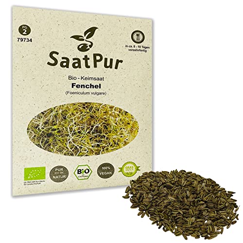 Fenchel Sprossen BIO Keimsprossen von SaatPur - Keimsaat Microgreen - 10g von SaatPur