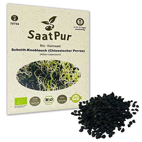 SaatPur Bio Keimsprossen - Keimsaat für Schnitt Knoblauch - Chinesischer Porree Sprossen, Microgreens - 15g von SaatPur