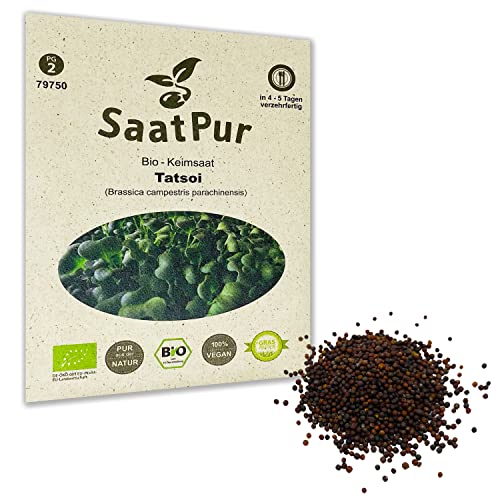 Tatsoi BIO Keimsprossen von SaatPur - Keimsaat für Sprossen, Microgreens - 20g von SaatPur