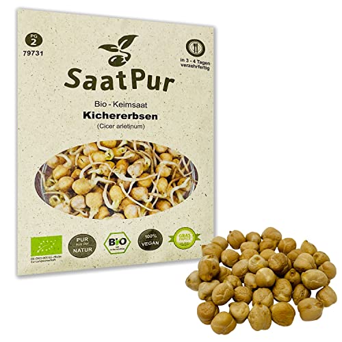 SaatPur Bio Keimsprossen - Keimsaat für Kichererbsen Sprossen - Microgreen - 90g von SaatPur