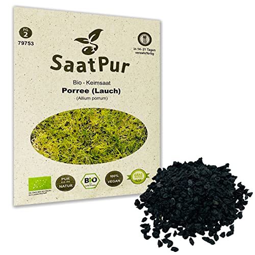 SaatPur Bio Keimsprossen - Porree Lauch Sprossen, Microgreen - 15g Keimsaat von SaatPur