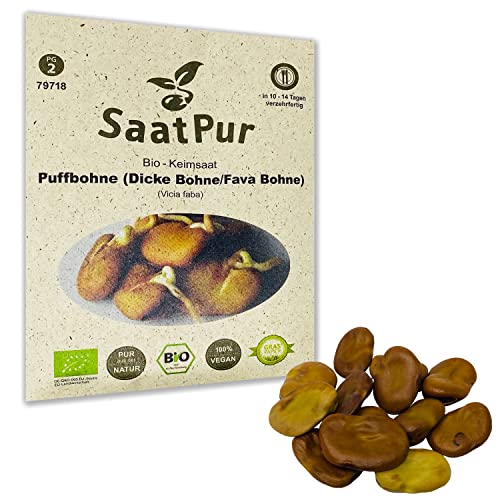 SaatPur Bio Keimsprossen - Puffbohne - Keimsaat für die Sprossenzucht zuhause - 50g von SaatPur
