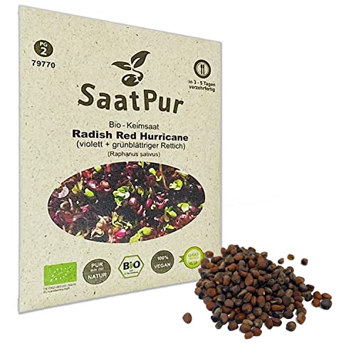 SaatPur Bio Keimsprossen - Radies Red Hurricane - Sprossen, Microgreens - 30g von SaatPur