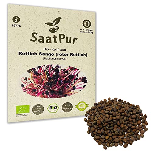 SaatPur Bio Keimsprossen - Radies Sango - Sprossen, Microgreens - 30g von SaatPur