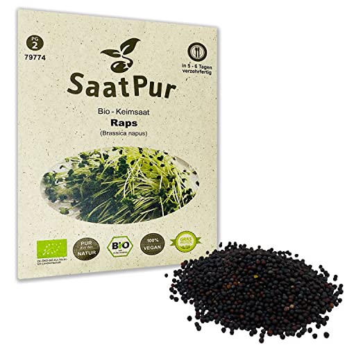 Brassica napus BIO Keimsprossen von SaatPur - Raps Sprossen, Microgreen - 50g von SaatPur