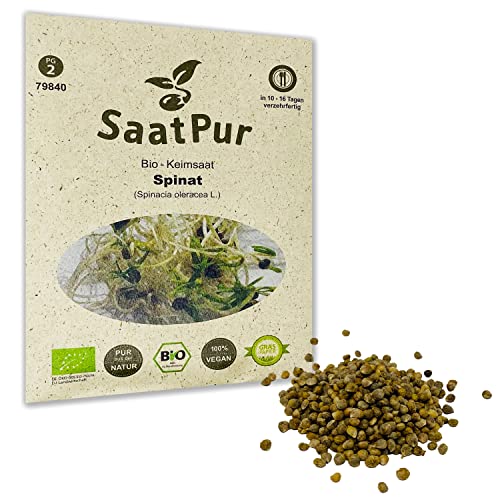 SaatPur Bio Keimsprossen - Spinat - Keimsaat für die Sprossenzucht zuhause - 20g Baby Salat Spinat von SaatPur