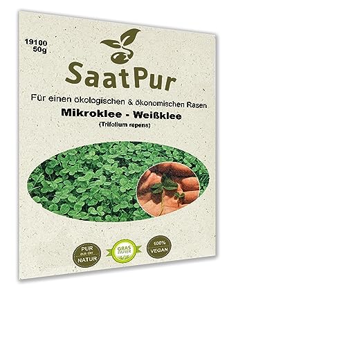 SaatPur EUROMIC Mikroklee Klee Rasen Microclover Zwergklee Rasenklee Microklee kleiner Weißklee 250 g für ca.125 qm von SaatPur