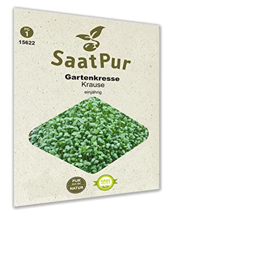 SaatPur Gartenkresse krause Samen, Saatgut für ca. 2500 Pflanzen von SaatPur