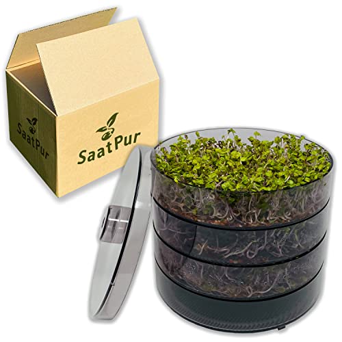 SaatPur® Keimsprossenbox Set 3 mit DREI Etagen als Sprossen Keimgerät: Sprossen Anzucht sowie Microgreens Anzuchtschalen. Keimbox, Keimschale, Keimschachtel, Sprossenbox, Sprossenhaus, Keimgerät von SaatPur