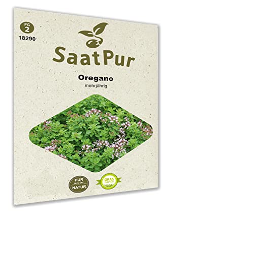 SaatPur Oregano Samen, Saatgut für ca. 150 Pflanzen von SaatPur
