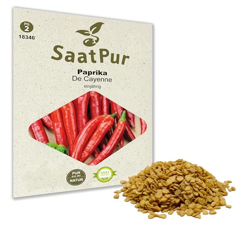 SaatPur Paprika De Cayenne Samen, Saatgut für ca. 60 Pflanzen von SaatPur