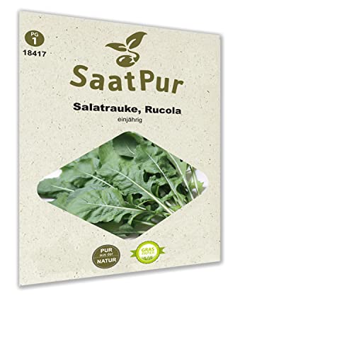 SaatPur Rucola Samen, Saatgut für ca. 600 Pflanzen von SaatPur