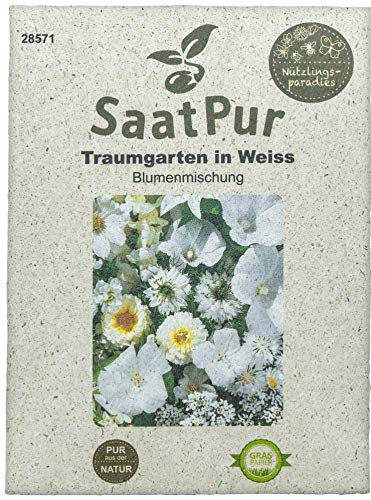 SaatPur Sommerblumenmischung Traumgarten in Weiß Samen Saatgut Sommeraussaat Blumenmix von SaatPur