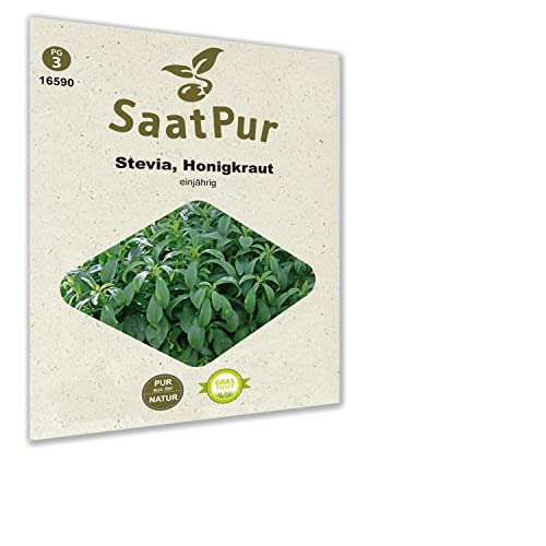 SaatPur Stevia Samen, Saatgut für ca. 12 Pflanzen von SaatPur