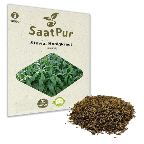 SaatPur Stevia Samen, Saatgut für ca. 12 Pflanzen von SaatPur