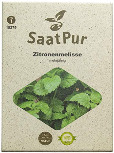 SaatPur Zitronenmelisse Samen, Saatgut für ca. 250 Pflanzen von SaatPur