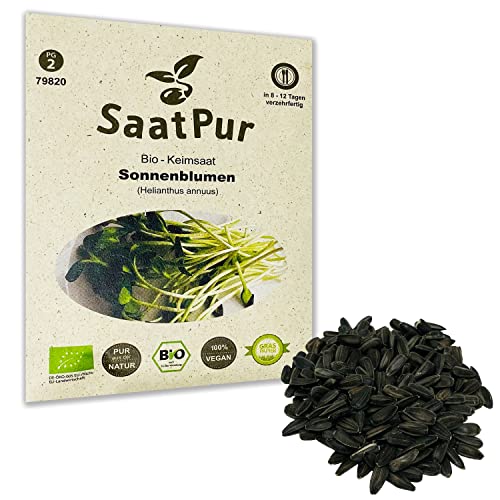 Sonnenblumen BIO Keimsprossen von SaatPur - Sprossen, Microgreens - 50g von SaatPur