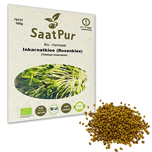 100g BIO Keimsprossen Inkarnatklee Rosenklee Samen Sprossensaat Microgreens Mikrogrün Grünkraut Sprossenanzucht von Saatzucht Bardowick